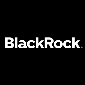 BlackRock - Fundamental Analysis