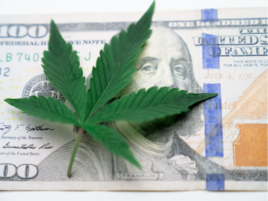 Cannabis-Markt - Warum Anleger/-innen profitieren