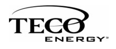 http://s3-eu-west-1.amazonaws.com/sharewise-dev/attachment/file/24809/TECO_Energy_Logo.png 