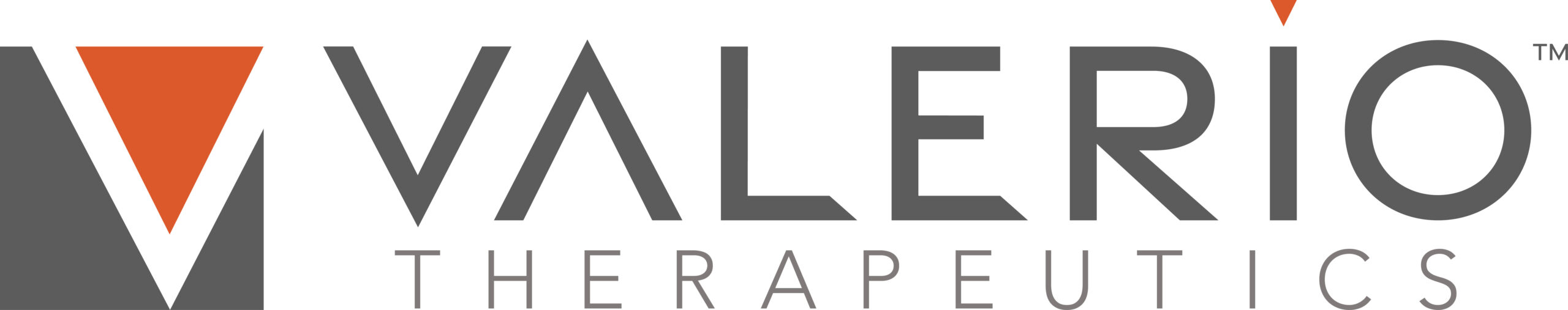 https://mms.businesswire.com/media/20240929456055/en/2257264/5/Valerio_logo_RGB-scaled.jpg 