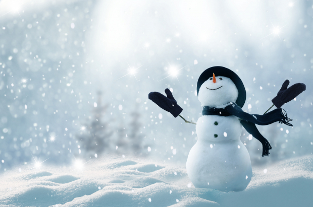 Snowflake Plunges 35% Year to Date: Buy, Sell or Hold the Stock?