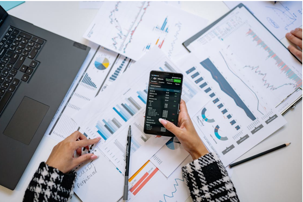 From Raw Data to Investor-Ready Reports: A Step-by-Step Guide