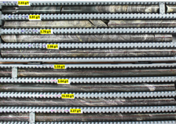 Miata Metals Intersects 3.04 g/t Gold over 35.6 metres, Including 4.95 g/t Gold over 14.6 metres at the Sela Creek Gold Project, Suriname: https://www.irw-press.at/prcom/images/messages/2025/81125/230925_EN_MMET_Sela_Creek_hole_32-33.003.png