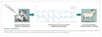 Innocan Pharma Announces Promising Translational Evidence from a Pain Relief Study of Repeated LPT-CBD Administration in Goats: https://www.irw-press.at/prcom/images/messages/2025/81939/INNO_112425_ENPRcom.001.png