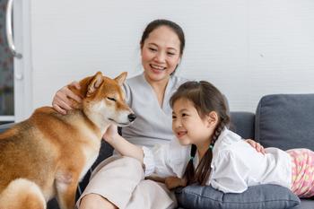Will Shiba Inu Create Any More Millionaires?: https://g.foolcdn.com/editorial/images/759507/people-petting-a-shiba-inu-dog.jpg