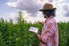 This Exciting Growth Sector Is Predicted to Keep Doubling Until 2028: https://g.foolcdn.com/editorial/images/688262/a-farmer-holding-a-tablet-in-a-hemp-field.jpg
