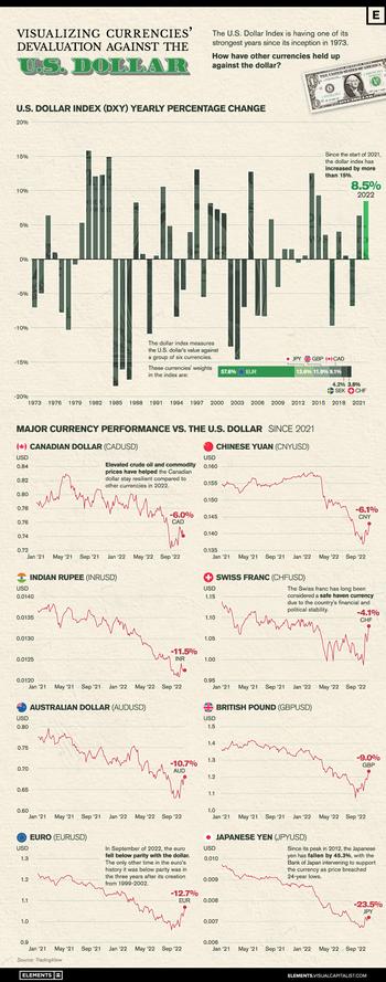 Visualizing Currencies’ Decline Against The U.S. Dollar: https://www.valuewalk.com/wp-content/uploads/2022/12/Currency-Decline-Against-The-U.S.-Dollar.jpg