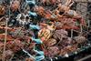 Alaska Cancels Crab Season as Crustacean Population Plummets: https://g.foolcdn.com/editorial/images/704987/featured-daily-upside-image.jpg