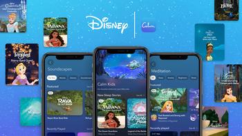 Disney Kicks Off “Wonder of Princess” Month in August With Magical Lineup of New Collaborations: https://mms.businesswire.com/media/20230802230859/en/1856737/5/Disney_Princess_and_Calm.jpg