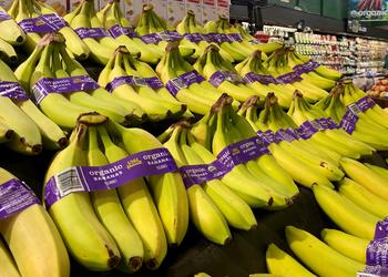 UNFI Expands Wild Harvest Organic Produce Offering with Over 40 New Products: https://mms.businesswire.com/media/20230126005949/en/1697662/5/Wild_Harvest_bananas_final.jpg