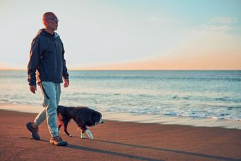 38 States That Don't Tax Social Security Benefits: https://g.foolcdn.com/editorial/images/708817/person-walking-on-the-beach-with-a-dog.jpg