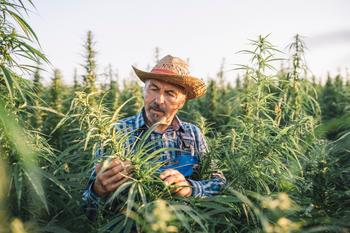This Former Market Darling Is More Weed Than Flower: https://g.foolcdn.com/editorial/images/687955/gettyimages-1293942530.jpg