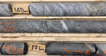 Argyle Resources Corp. Provides Drilling Update for Clay Howells REE Project: https://www.irw-press.at/prcom/images/messages/2025/81255/Argyle_021025_PRCOM.001.png