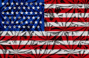 Why Marijuana Stocks Are Hopping Again on Tuesday: https://g.foolcdn.com/editorial/images/770714/american-flag-with-marijuana-plants-in-the-background.jpg