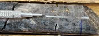 West Red Lake Gold Confirms Additional High-Grade Gold in Lower Austin with 26.16 g/t Au over 11.2m, 37.87 g/t Au over 3.55m and 10.55 g/t Au over 8m: https://www.irw-press.at/prcom/images/messages/2025/81672/WRLG_110425_ENPRcom.001.png