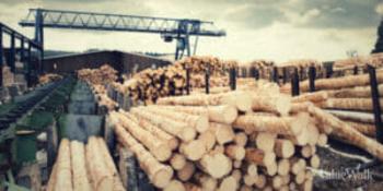 Timber Investments: Real Asset Investment Guide: https://www.valuewalk.com/wp-content/uploads/2023/06/timber-investment-300x150.jpeg