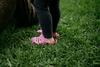 Is This 1 Thing the Biggest Risk for Crocs Stock?: https://g.foolcdn.com/editorial/images/766129/wearing-pink-crocs-standing-in-grass.jpg