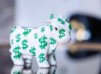 My 3 Favorite Dividend Stocks to Buy Right Now: https://g.foolcdn.com/editorial/images/834181/24_12_11-a-white-bull-figurine-with-green-dollar-signs-all-over-it-_mf-dload-gettyimages-1066588700-1087x800-480decc.jpg