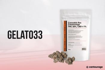 EQS-News: Cantourage strengthens market presence in Poland with flower variety “Gelato 33”: https://eqs-cockpit.com/cgi-bin/fncls.ssp?fn=download2_file&code_str=25bb932e02e87fbbc253669ddb85c774