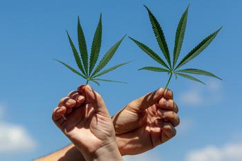 2 Explosive Pot Stocks to Buy in 2023 and Beyond: https://g.foolcdn.com/editorial/images/736854/2-intertwined-hands-holding-marijuana-leaves.jpg
