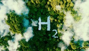 What Is the Best Hydrogen Stock?: https://g.foolcdn.com/editorial/images/737089/hydrogen-in-forest.jpg