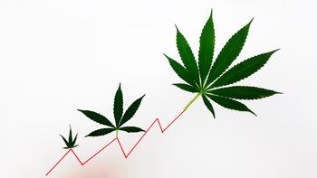 Why Canopy Growth, Aurora Cannabis, Cresco Labs, and Curaleaf Stocks All Popped: https://g.foolcdn.com/editorial/images/747791/stock-chart-going-up-with-marijuana-leaves-growing-out-of-each-peak.jpg