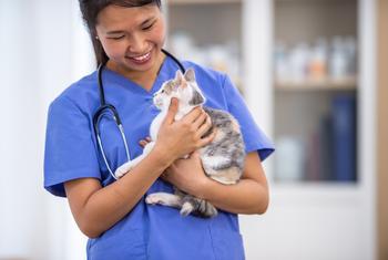 Why Shares of Patterson Companies Shot Up Wednesday: https://g.foolcdn.com/editorial/images/737118/veterinary-medicine_-vet-holds-cat.jpg