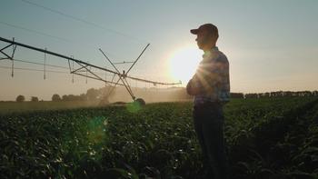 Why Shares of Lindsay Are Plummeting Today: https://g.foolcdn.com/editorial/images/738050/farmer-watches-irrirgation-in-a-cornfield.jpg