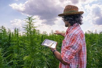 Has This Growth Stock Turned Its Business Around?: https://g.foolcdn.com/editorial/images/697413/a-farmer-holding-a-tablet-in-a-hemp-field.jpg