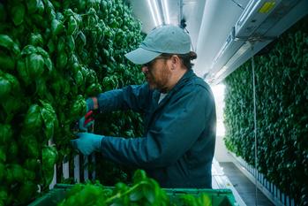 United Natural Foods and Square Roots to Co-locate Indoor Farms at Distribution Centers Across North America: https://mms.businesswire.com/media/20221110005408/en/1632471/5/Square_Roots_Image_for_Business_Wire.jpg