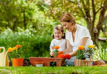 I Just Opened an Investment Account for My Newborn. Here Was My First Purchase: https://g.foolcdn.com/editorial/images/756688/elder-person-planting-flowers-with-their-grandchild.jpg