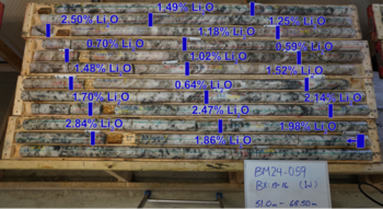 Pan American Energy Announces Final Drill Results from 2023/2024 Program at the Big Mack Lithium Project, including 1.71% Li2O over 19.65 m at the Eleven Zone Pegmatite: https://www.irw-press.at/prcom/images/messages/2024/74374/PanAmerican_260424_PRCOM.005.png