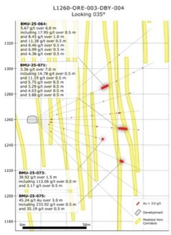 Osisko Development veröffentlicht aktuelle Informationen zu den Infill-Bohrungen im Rahmen des 13.000 Meter umfassenden Lowhee-Programms im Cariboo-Gold-Projekt: https://www.irw-press.at/prcom/images/messages/2025/81288/061025_DE_ODV_LZ-Infill-Update.005.jpeg