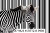 Is Zebra Technologies Stock Going to $312? 1 Wall Street Analyst Thinks So.: https://g.foolcdn.com/editorial/images/765731/barcode-zebra.jpg