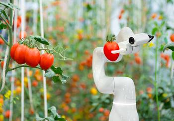 AppHarvest's Growth Problem: How to Pay for It?: https://g.foolcdn.com/editorial/images/689386/gettyimages-robot-picking-tomatoes.jpg