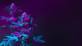 Is SNDL a Top Growth Stock?: https://g.foolcdn.com/editorial/images/737176/cannabis-blue-light.jpg
