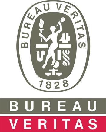 2021 DJSI Industry Leaders: Bureau Veritas Confirms Its Leadership Position in the Professional Services Industry Category: https://mms.businesswire.com/media/20191119005764/en/757671/5/Colour_Logo.jpg