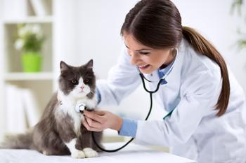 Why Trupanion Stock Plummeted Today: https://g.foolcdn.com/editorial/images/765763/cat-being-seen-by-vet-with-stethoscope.jpg