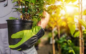 New Strong Sell Stocks for Dec. 15: https://staticx-tuner.zacks.com/images/articles/main/db/558.jpg