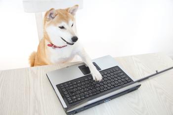This Crypto Just Surged Past Dogecoin Today: https://g.foolcdn.com/editorial/images/720193/shiba-inu19.jpg