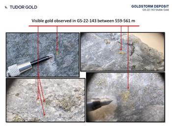 TUDOR GOLD durchschneidet 70,96 g/t Gold Eq über 1,00 Meter innerhalb eines Intervalls von 2,0 Meter mit 39,15 g/t Gold Eq im Step-Out Bohrloch GS-22-143, dass sich 225 Meter nordöstlich vom 2021er Bohrprogramm bei der Goldstorm Lagerstätte auf den T: https://www.irw-press.at/prcom/images/messages/2022/66835/Tudor_260722_DEPRcom.003.jpeg