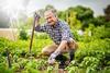 Retiring Early? Don't Rush to Claim Social Security: https://g.foolcdn.com/editorial/images/771327/senior-man-gardening.jpg