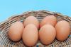 Cal-Maine Stock Sinks 7% on Earnings Plunge Driven By Lower Egg Prices: https://g.foolcdn.com/editorial/images/749791/calm-stock-earnings-cal-maine-foods-earnings.jpg