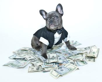 1 Magnificent Dividend Growth Stock That's Down 40% and Trading at a Once-in-a-Decade Valuation: https://g.foolcdn.com/editorial/images/773731/animals-40.jpg