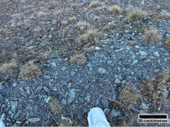 Aurania Signs MOU with RSA S.R.L. and Firestone Ventures Inc. to Evaluate Potential Critical Metals Project in Europe: https://www.irw-press.at/prcom/images/messages/2025/81578/281025_EN_ARU_Aurania.002.png