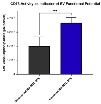 NurExone plant die klinische Herstellung von ExoPTEN im kleinen Maßstab zur Vorbereitung zukünftiger First-in-Human-Anwendungswege: https://www.irw-press.at/prcom/images/messages/2025/82209/2025_12_15_NurExone_DE.001.png