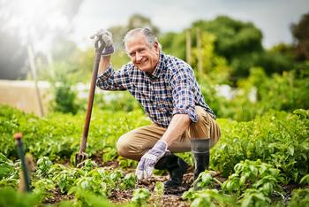 If These 3 Situations Apply to You, You May Want to Delay Your Retirement: https://g.foolcdn.com/editorial/images/765393/gardening-hobby-retired-man-agriculture.jpg