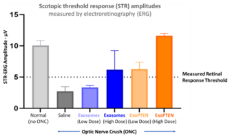 NurExone zeigt reproduzierbare, dosisabhängige Wiederherstellung der Sehkraft im präklinischen Glaukommodell: https://www.irw-press.at/prcom/images/messages/2025/81327/2025_10_08_NurExone_DE.001.png
