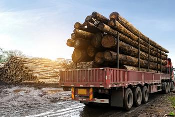 Will Falling Lumber Prices Chop Down Weyerhaeuser's Dividend?: https://g.foolcdn.com/editorial/images/701183/timber.jpg