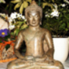 thai